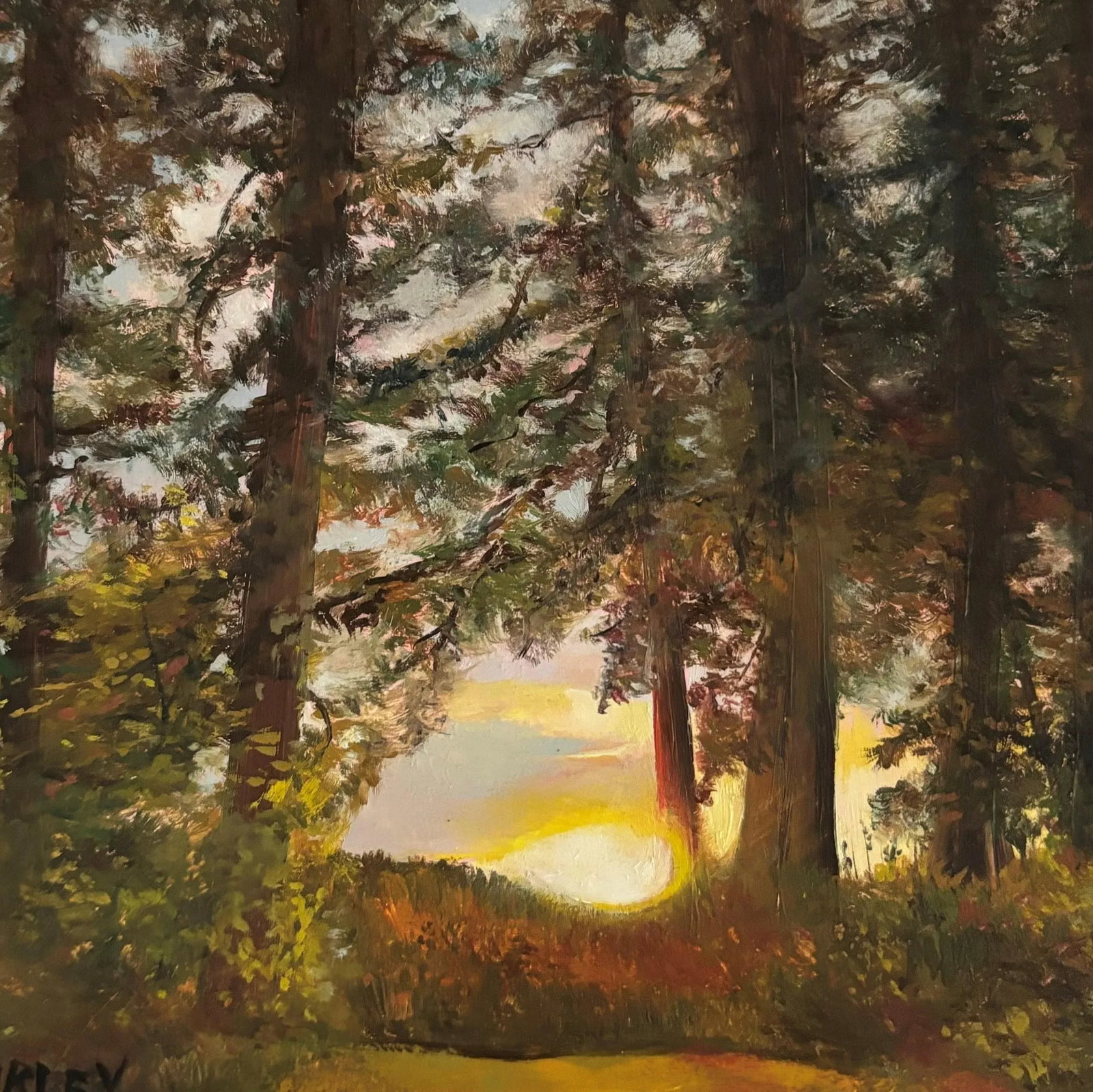 Vancouver Island Sunset Original Oil Painting by Jessica Fairley: In this miniature oil painting measuring 6x6 inches, artist Jessica Fairley captures the Vancouver Island sunset in all it's glory. Condition: Imperfections: No Imperfections Origin: United States