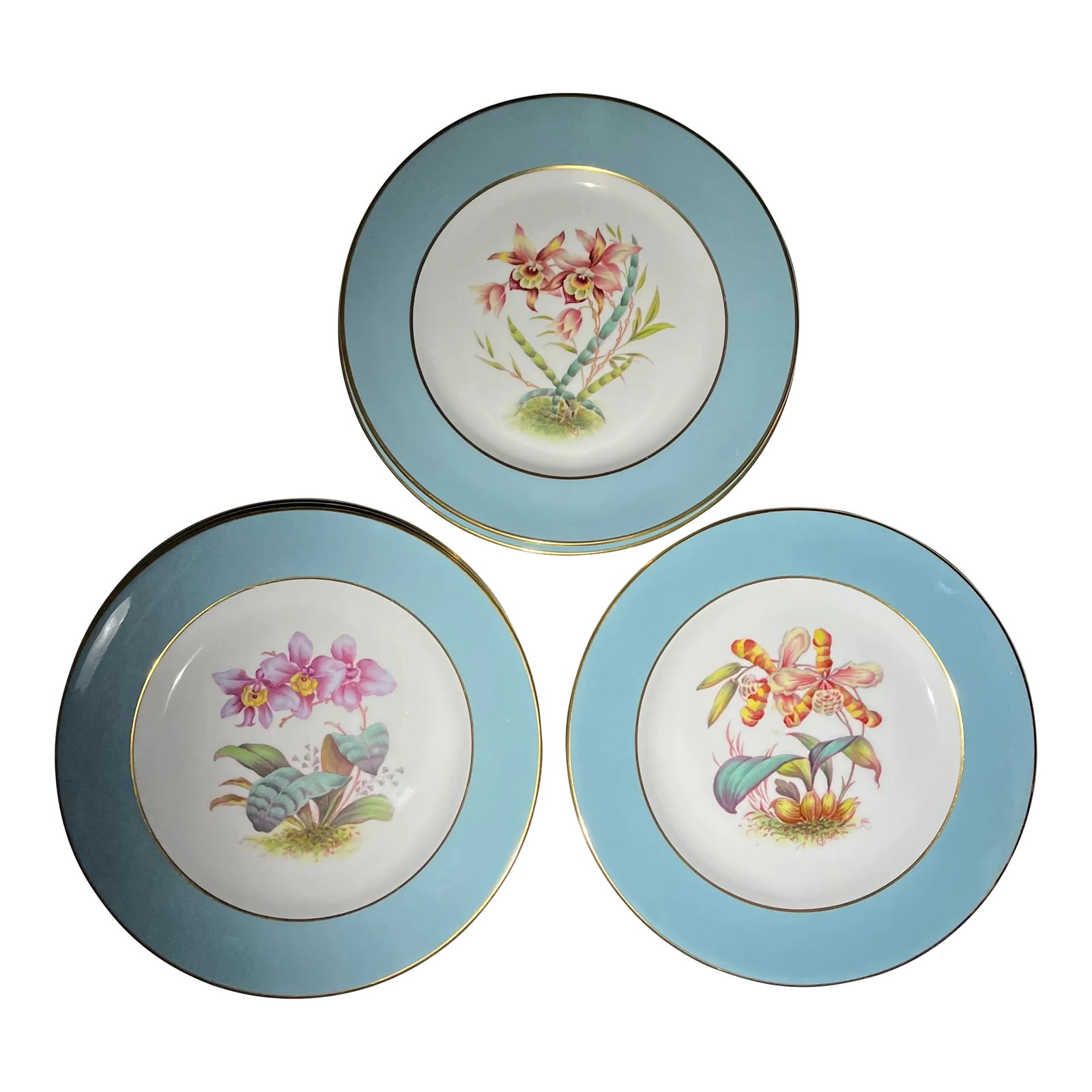 Late 20th Century Vintage Tiffany Orchid Dessert Plates- Set of 11: Exquisite set of rare vintage 20th century Tiffany Orchid porcelain dessert plates. made for Tiffany by Spode, Copeland China, England. 3 different hand-painted designs labeled on the back with Latin 