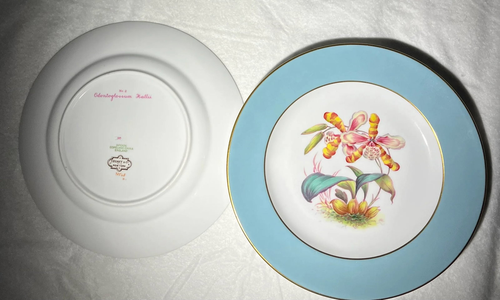 Late 20th Century Vintage Tiffany Orchid Dessert Plates- Set of 11 - 9