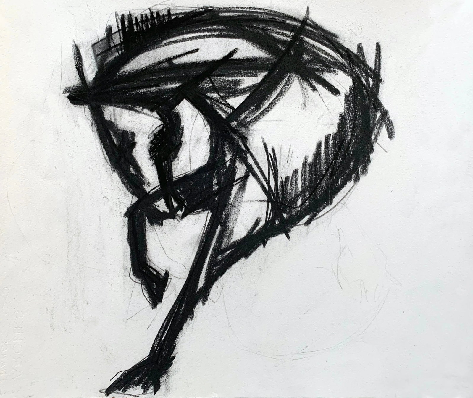 Horse Portrait - Drawing on Paper: This series of portraits of the horse is a reflection of our time, finding comfort and beauty in loss or missing something you love. "The horse meaning signifies overcoming obstacles, and how you