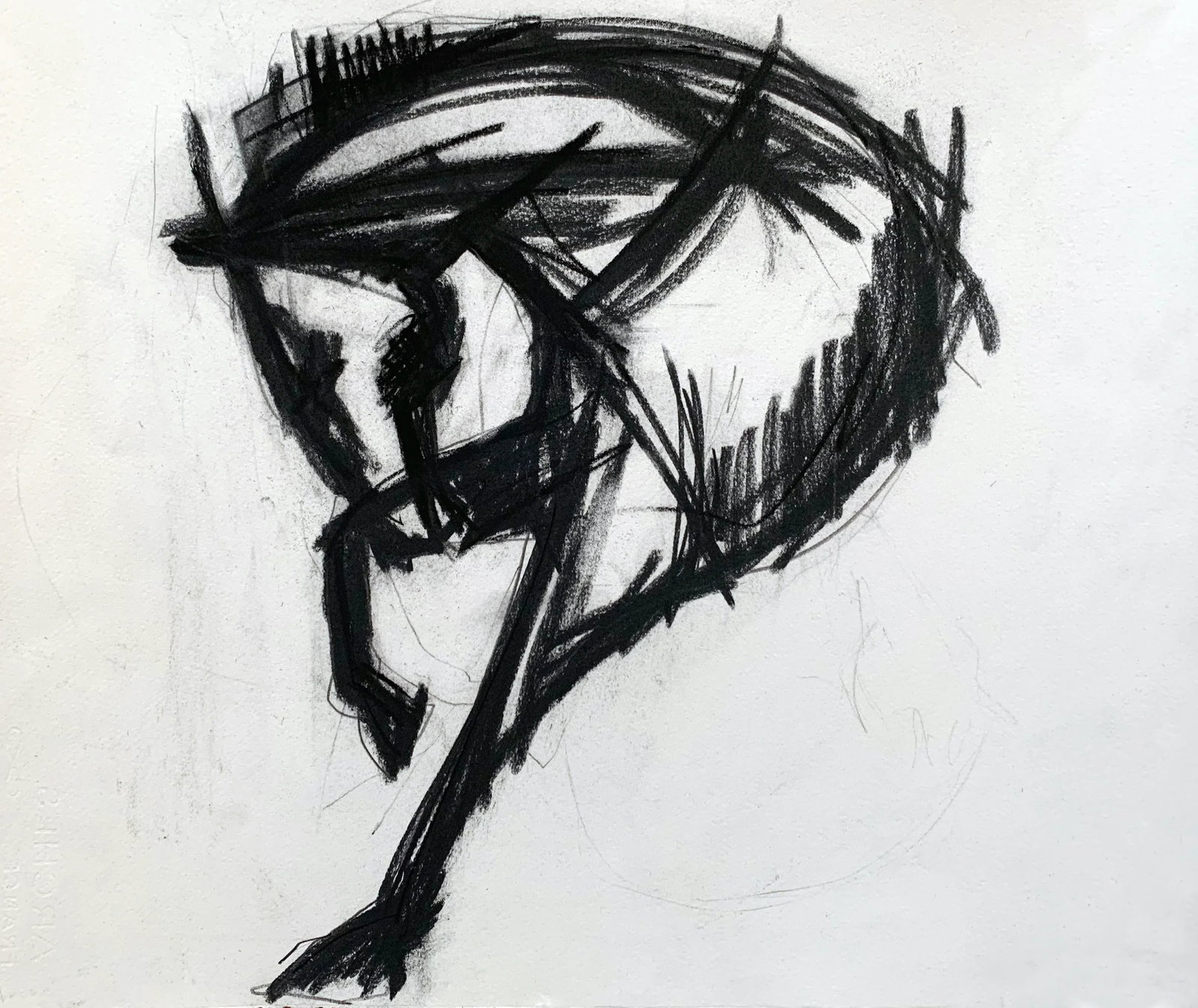 Horse Portrait - Drawing on Paper - 2