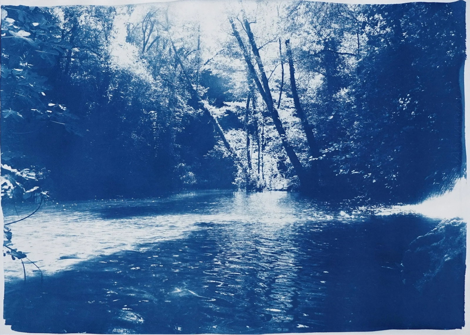 2020 Kind of Cyan, Contemporary Cyanotype of Scandinavian Enchanted Forest (1 of 12)