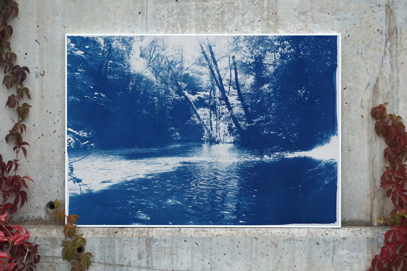 2020 Kind of Cyan, Contemporary Cyanotype of Scandinavian Enchanted Forest - 2