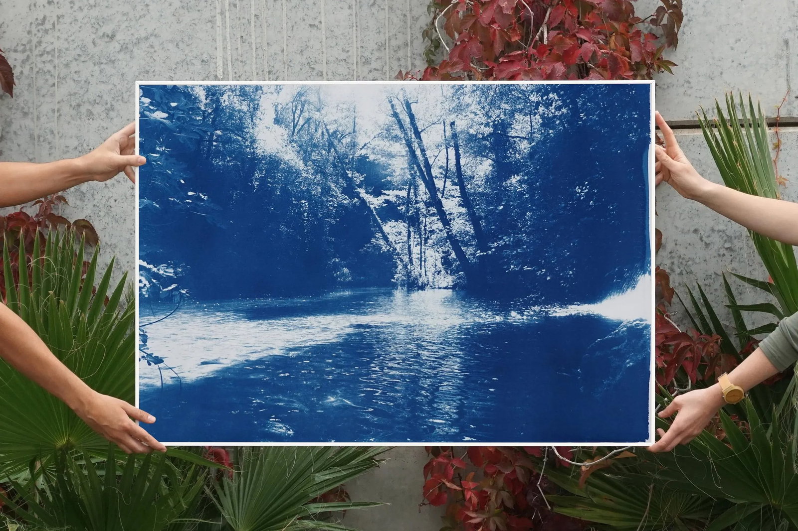 2020 Kind of Cyan, Contemporary Cyanotype of Scandinavian Enchanted Forest - 8