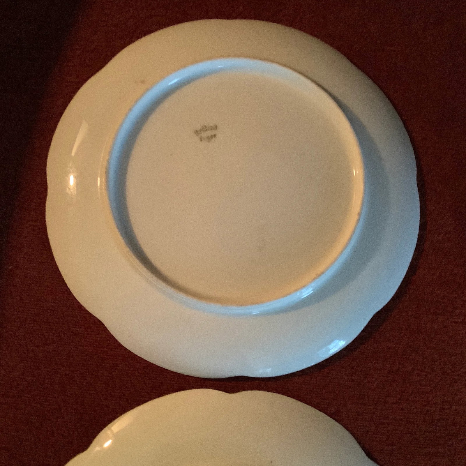 Antique Haviland Limoges Botanical Dessert Plates - Set of 6 \ Handpainted Signed - 12