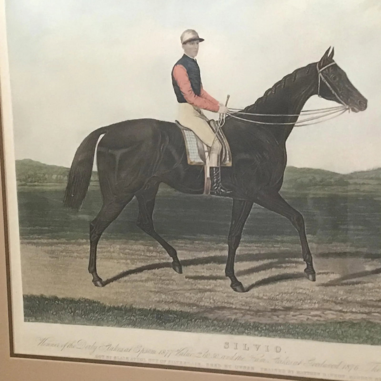 19th Century Equestrian Derby Race Silvio Horse Jockey Engraving Print Art - 12