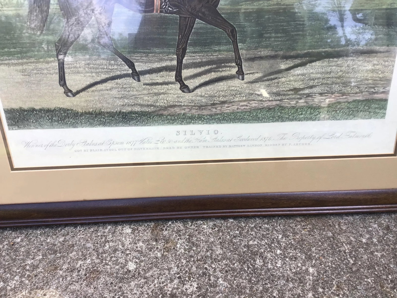 19th Century Equestrian Derby Race Silvio Horse Jockey Engraving Print Art - 6