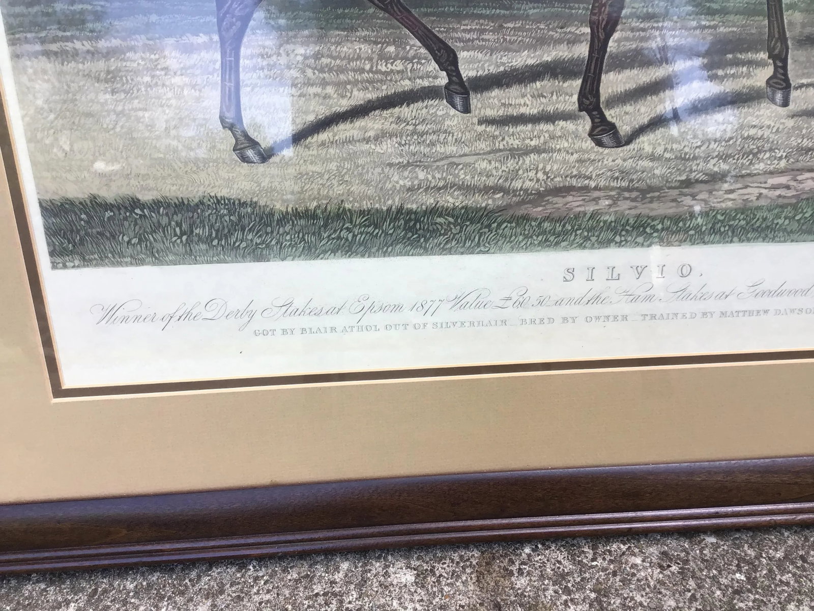 19th Century Equestrian Derby Race Silvio Horse Jockey Engraving Print Art - 7