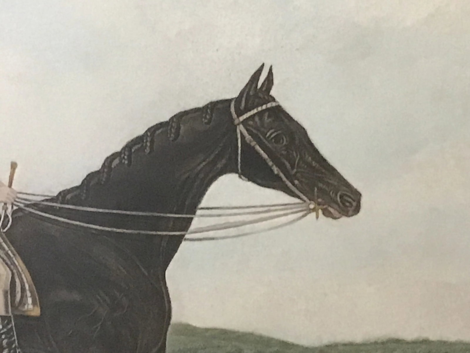 19th Century Equestrian Derby Race Silvio Horse Jockey Engraving Print Art - 9