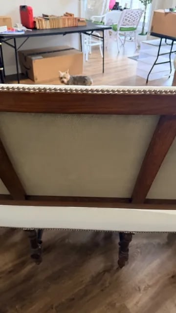 Antique White Sofa - 9