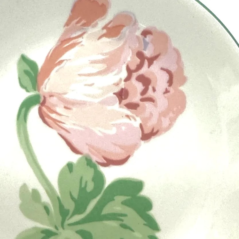 Apple Green & Mandarin Cottage Core Hand-Painted Wall Plate Curation - Group of 13 - 14