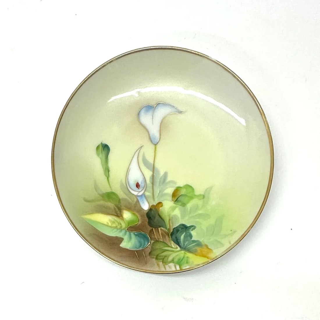 Apple Green & Mandarin Cottage Core Hand-Painted Wall Plate Curation - Group of 13 - 8