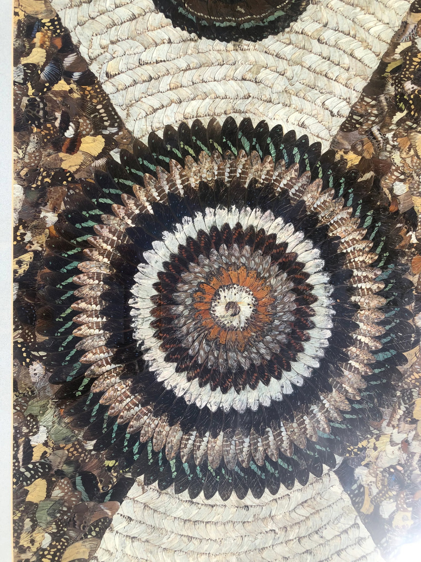 Vintage Butterfly Wing Kaleidoscope Art - 3