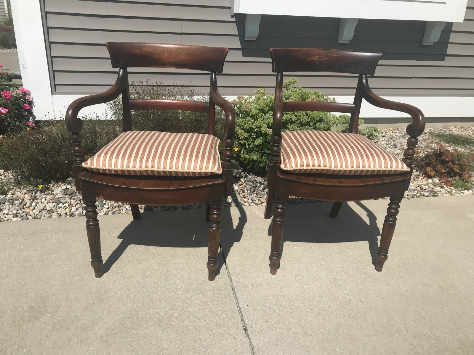 Antique William IV Carved Mahogany Scrolled Open Arm Turned Chairs - a Pair - 2