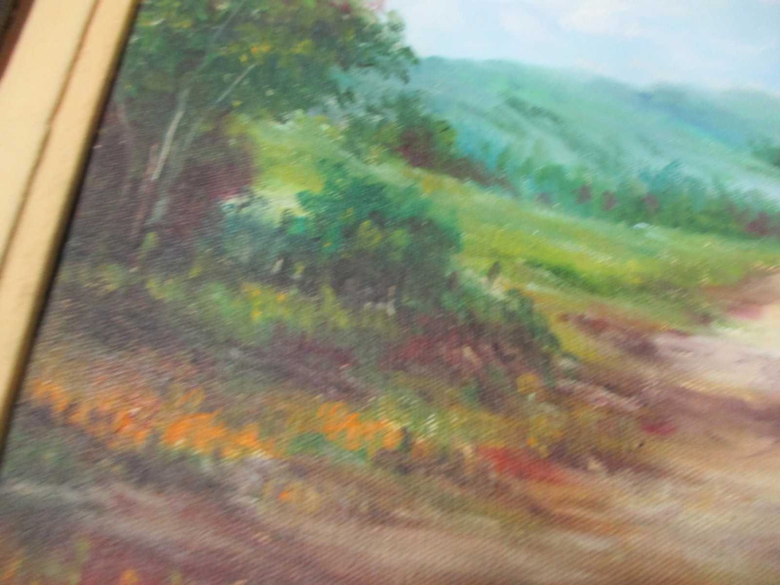 Late 20th Century Brazilian Landscape Oil Painting, Framed - 5
