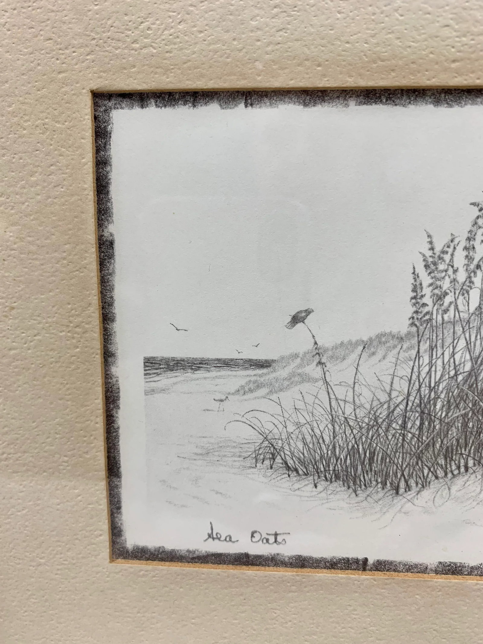 Vintage Coastal Jo Ka Framed Print - 4