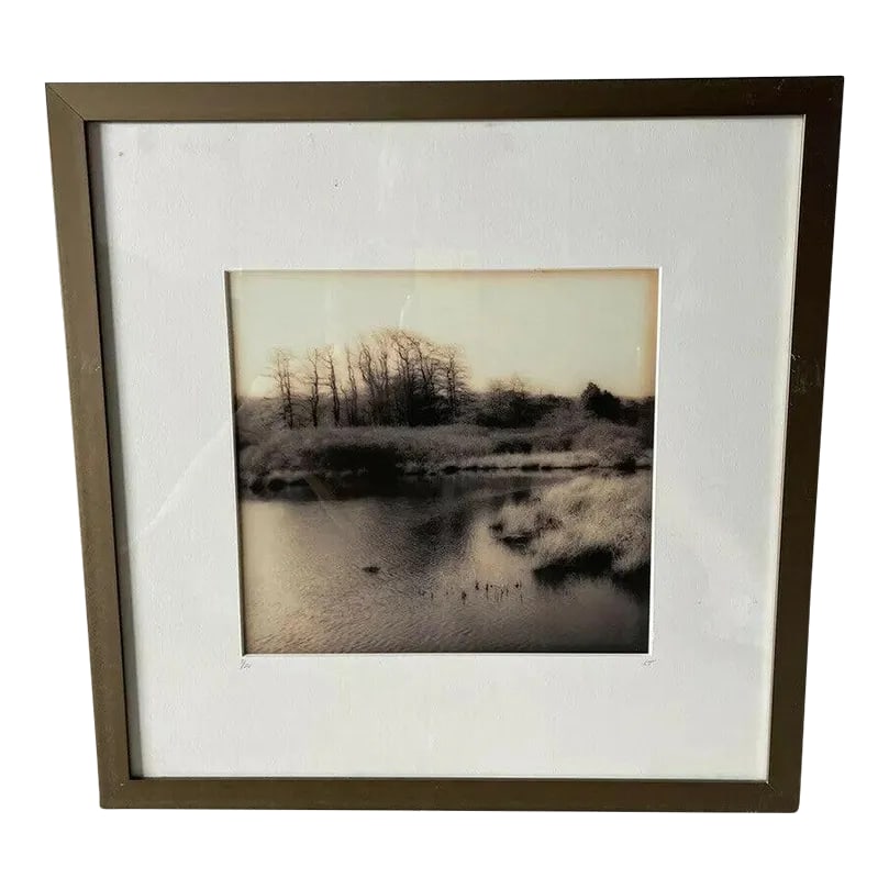 1990s Christine Triebert Pin Camera Photograph "Grassy Pond" Provincetown Ma 3/50: Christine Triebert Pin Camera Photograph entitled "Grassy Pond" purchased at the Rice Polak Gallery in Provincetown MA. Initialed and numbered 3/50. The artist created a Pinhole photograph from a
