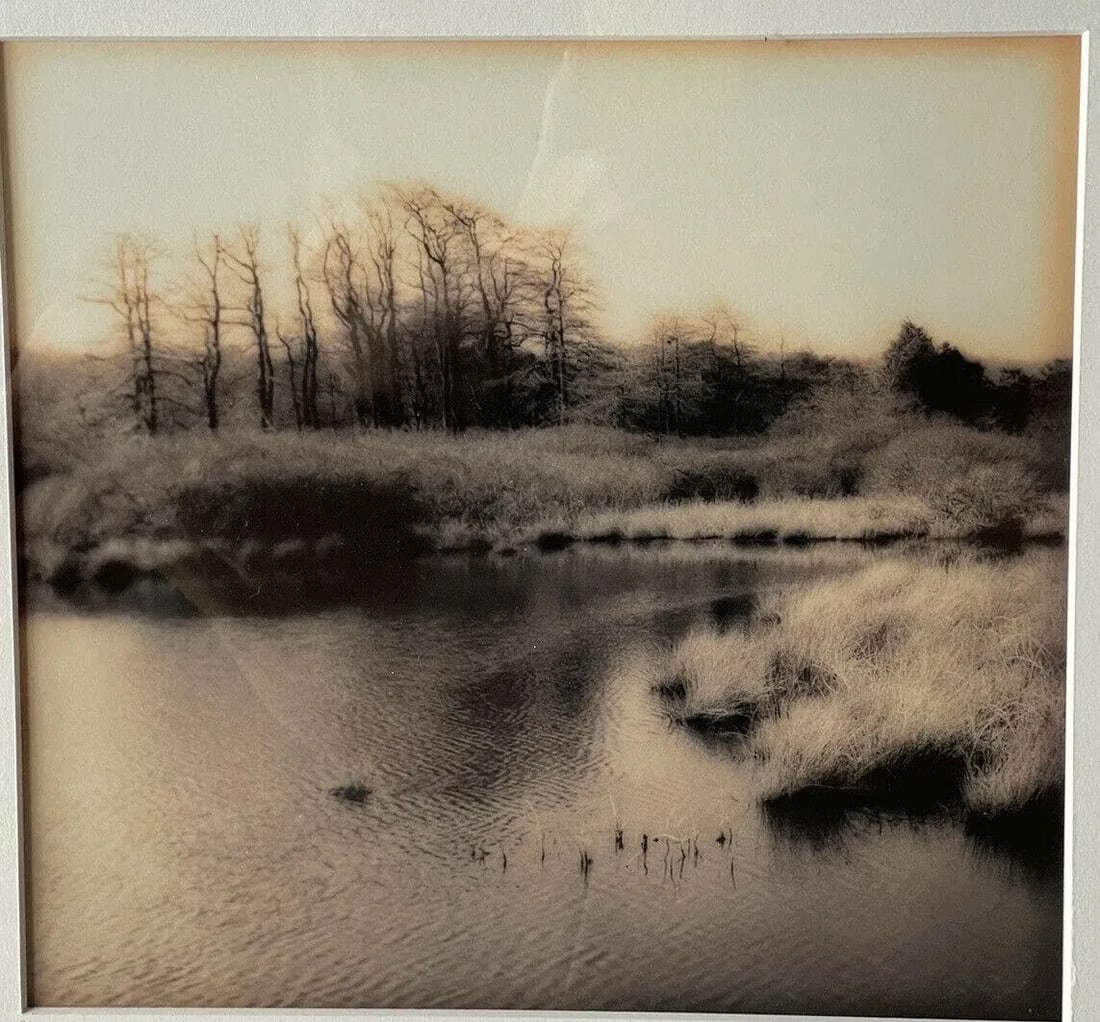 1990s Christine Triebert Pin Camera Photograph "Grassy Pond" Provincetown Ma 3/50 - 2