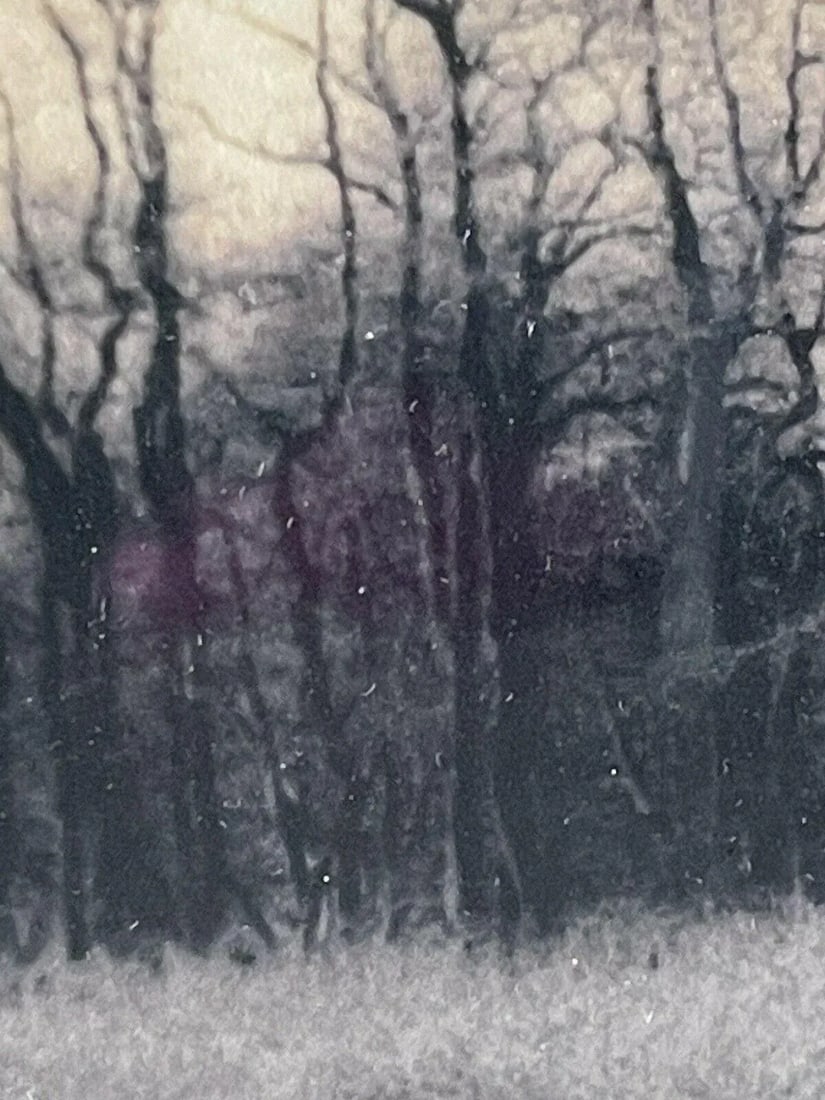 1990s Christine Triebert Pin Camera Photograph "Grassy Pond" Provincetown Ma 3/50 - 5