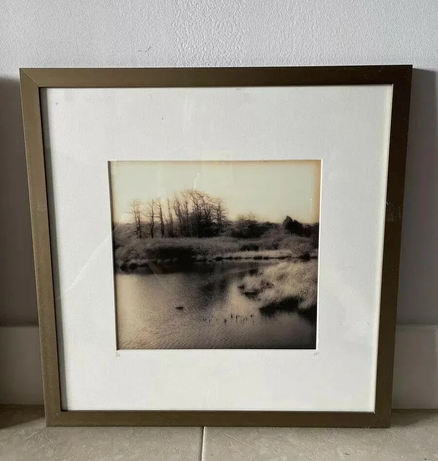 1990s Christine Triebert Pin Camera Photograph "Grassy Pond" Provincetown Ma 3/50 - 6