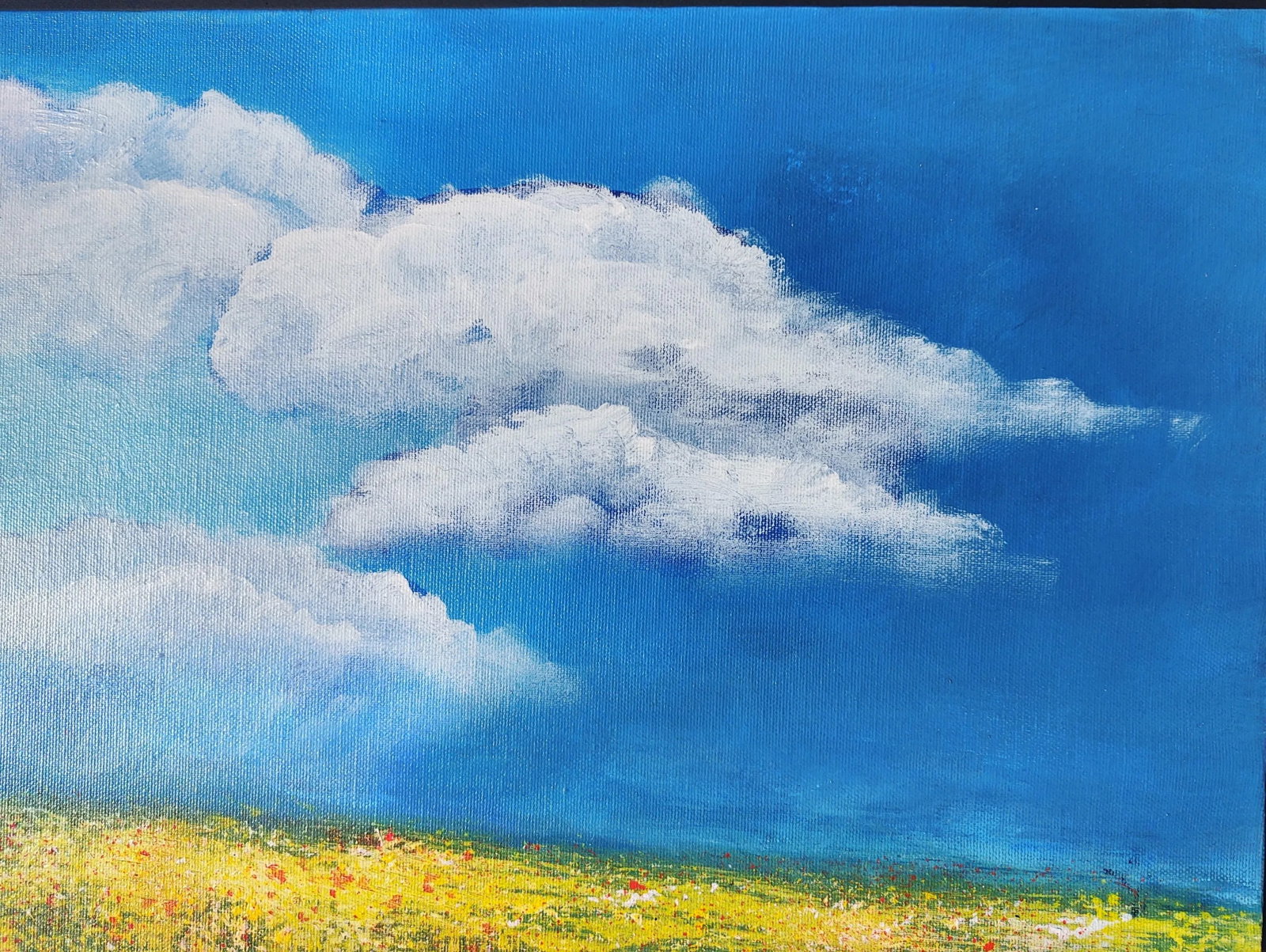 Poppies and Buttercups Contemporary Original Impressionist Style Landscape Painting by Linda McDon - 8