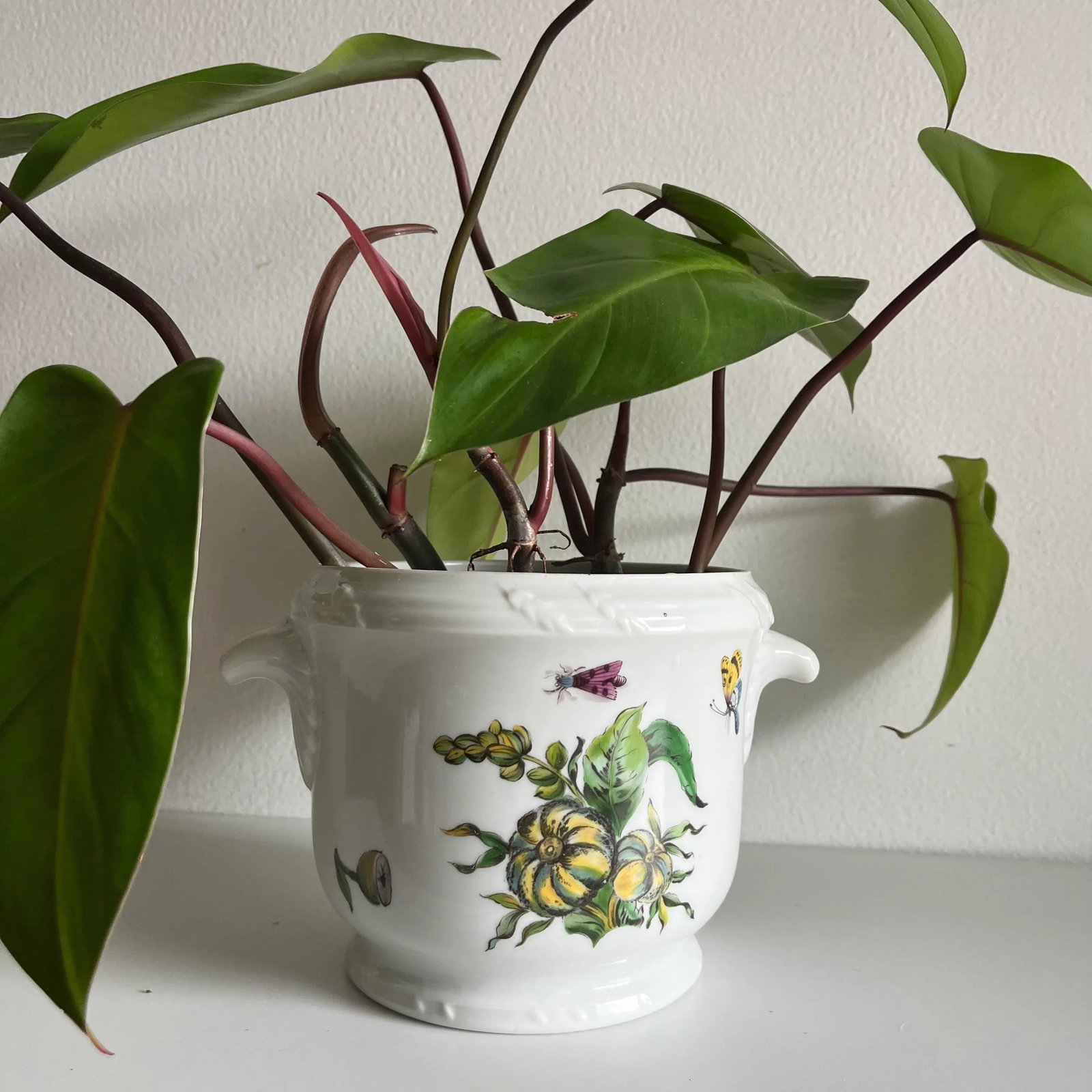 1970s Mottahedeh the Exotic Plant Cachepot Planter - 2