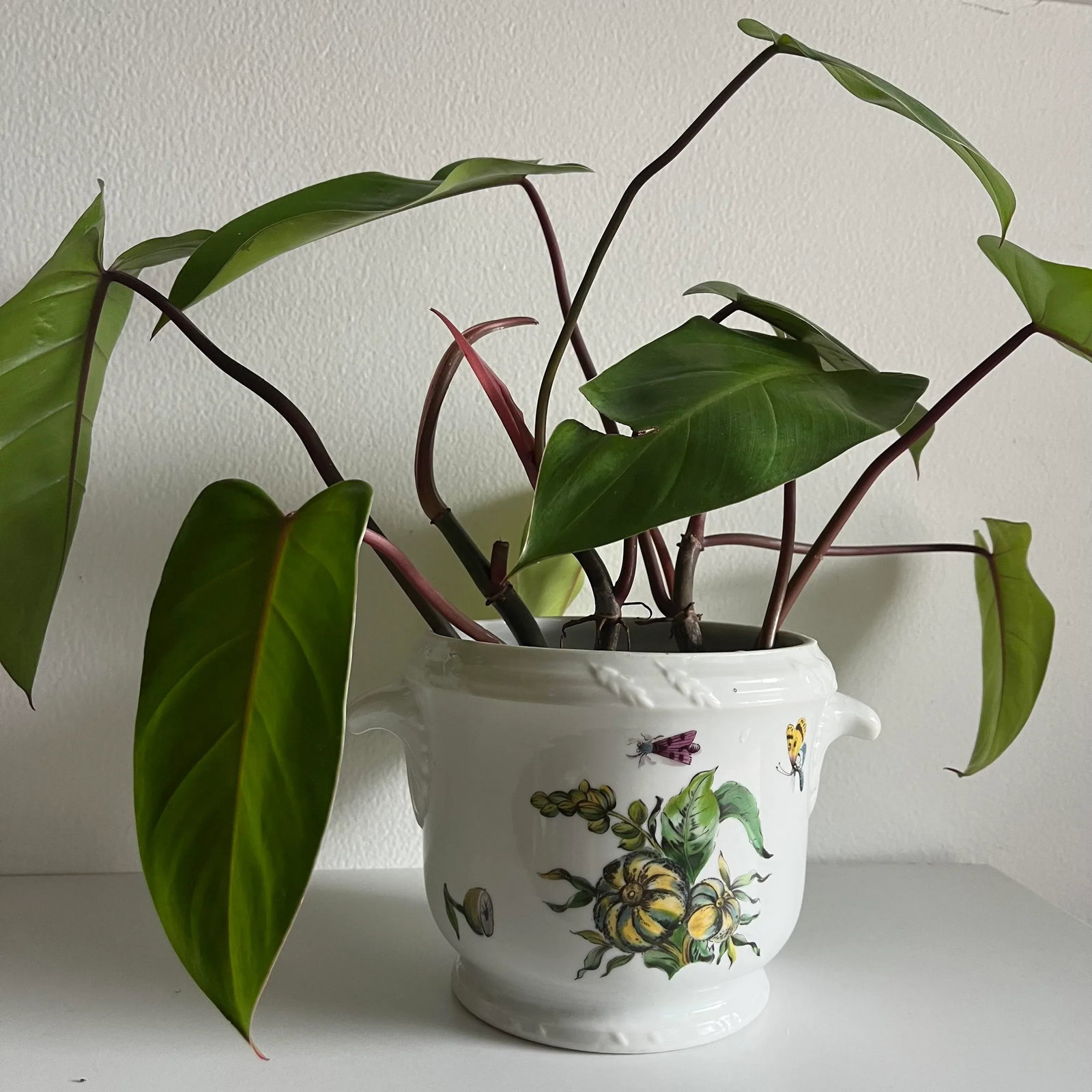 1970s Mottahedeh the Exotic Plant Cachepot Planter - 3