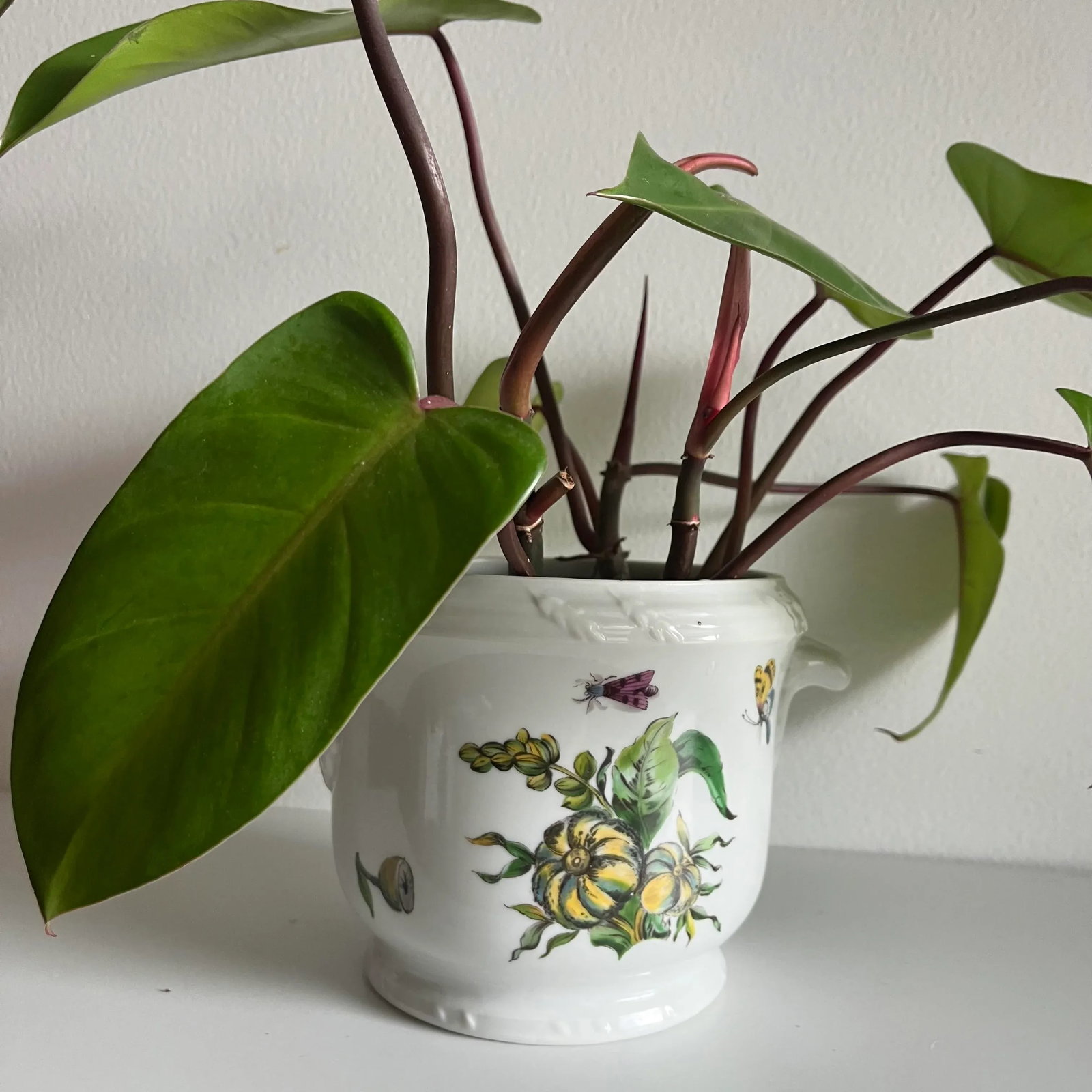 1970s Mottahedeh the Exotic Plant Cachepot Planter - 5