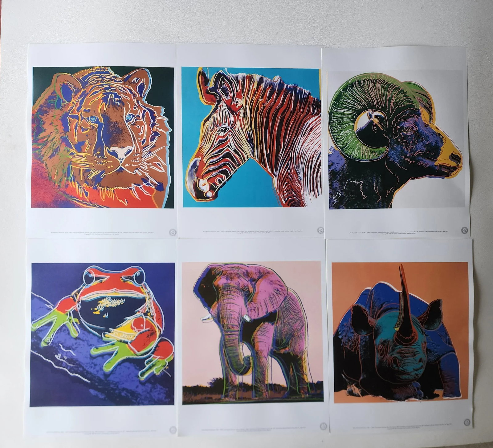 1989 Andy Warhol Endangered Species Prints in Original Portfolio - 12