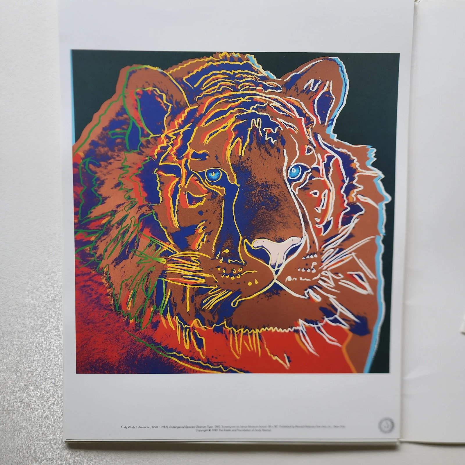 1989 Andy Warhol Endangered Species Prints in Original Portfolio - 4