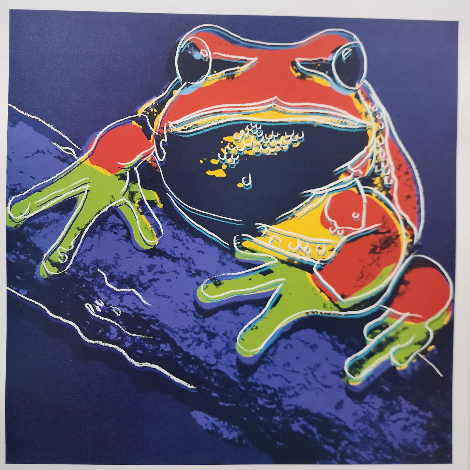 1989 Andy Warhol Endangered Species Prints in Original Portfolio - 5