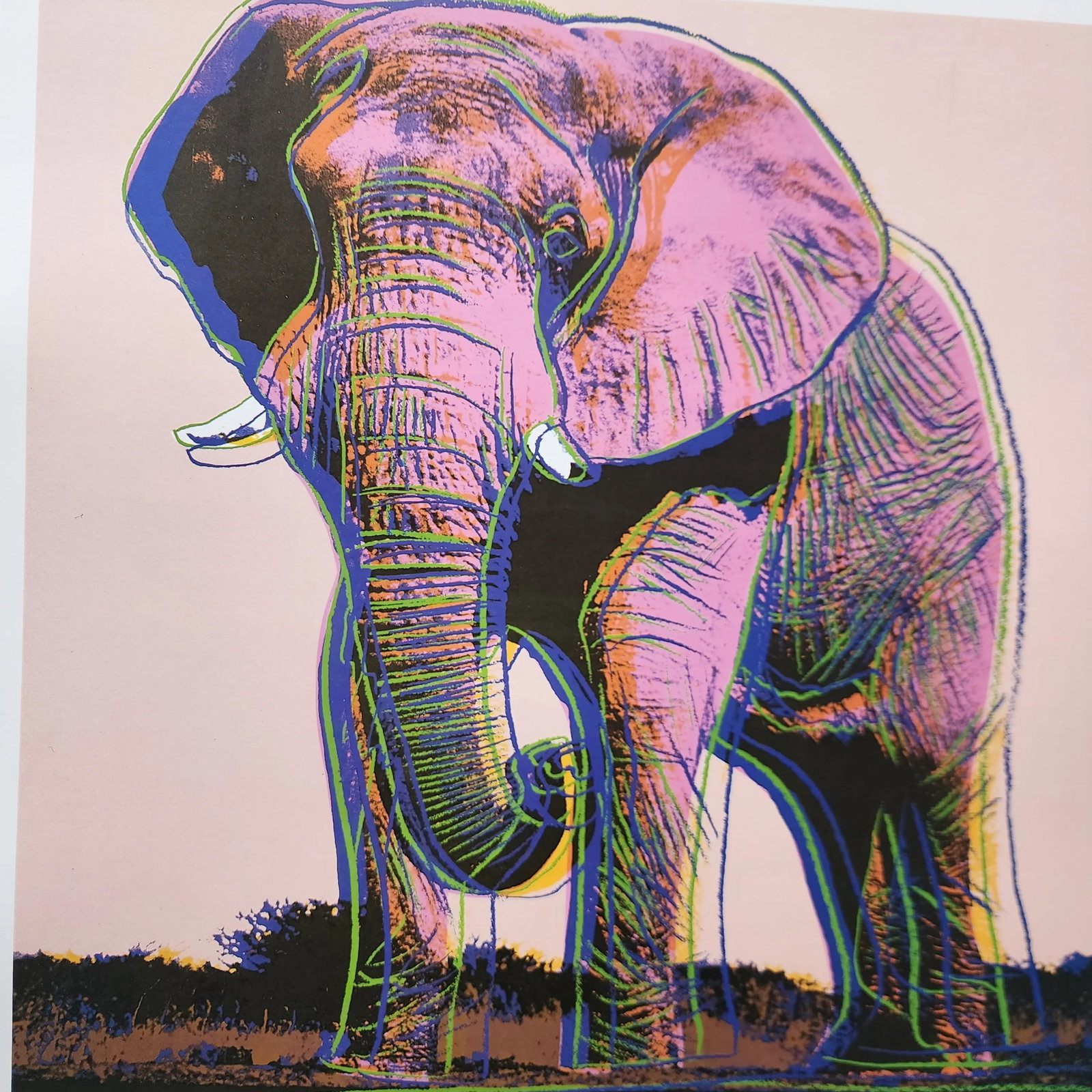 1989 Andy Warhol Endangered Species Prints in Original Portfolio - 6