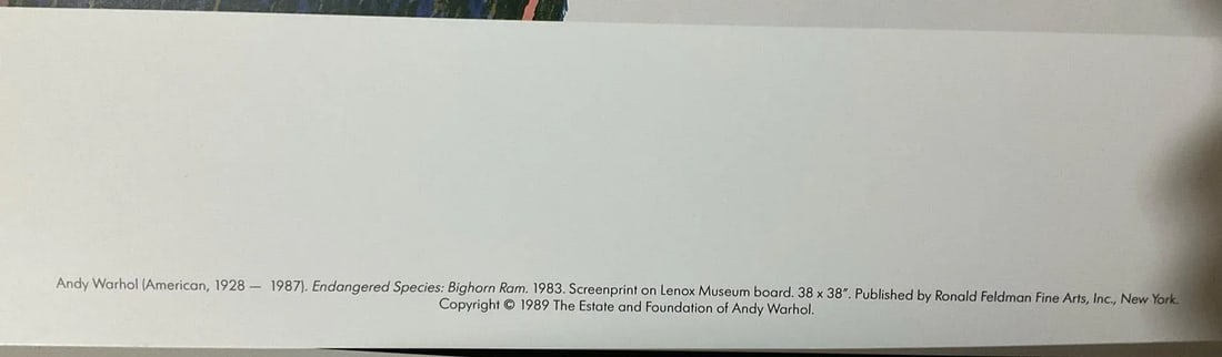 1989 Andy Warhol Endangered Species Prints in Original Portfolio - 9