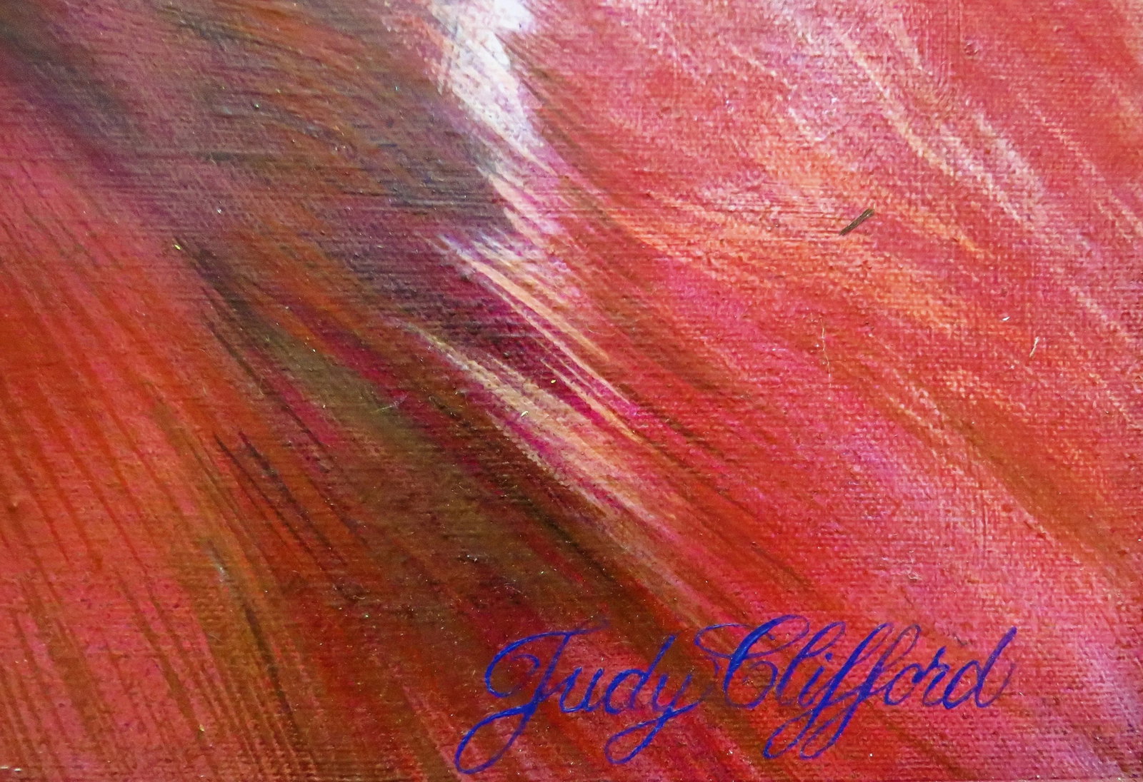 Oil Portrait Painting of a Parrot Macaw Bird American Listed Artist Palm Beach Signed Judy Clifford - 3