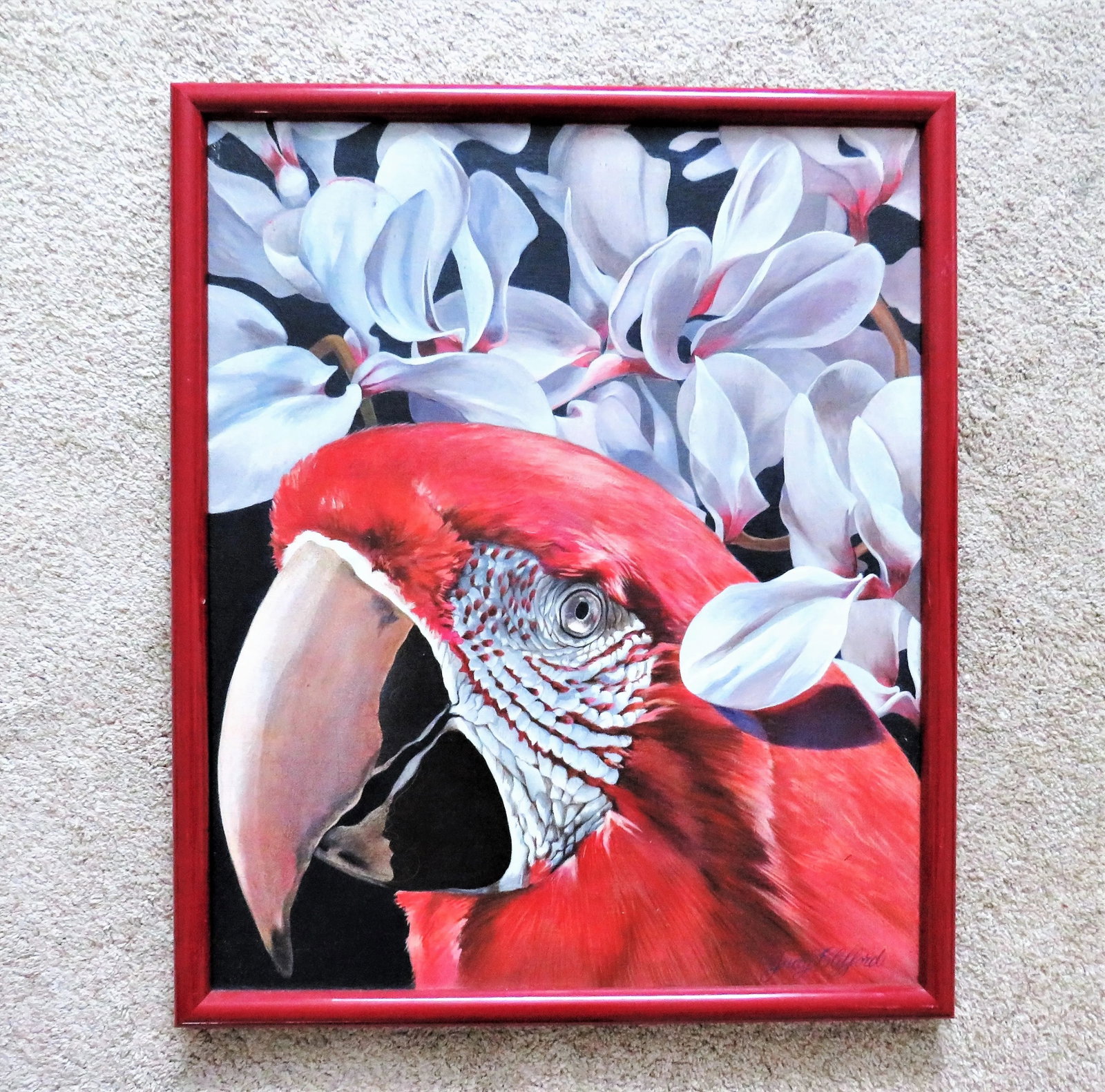 Oil Portrait Painting of a Parrot Macaw Bird American Listed Artist Palm Beach Signed Judy Clifford - 5