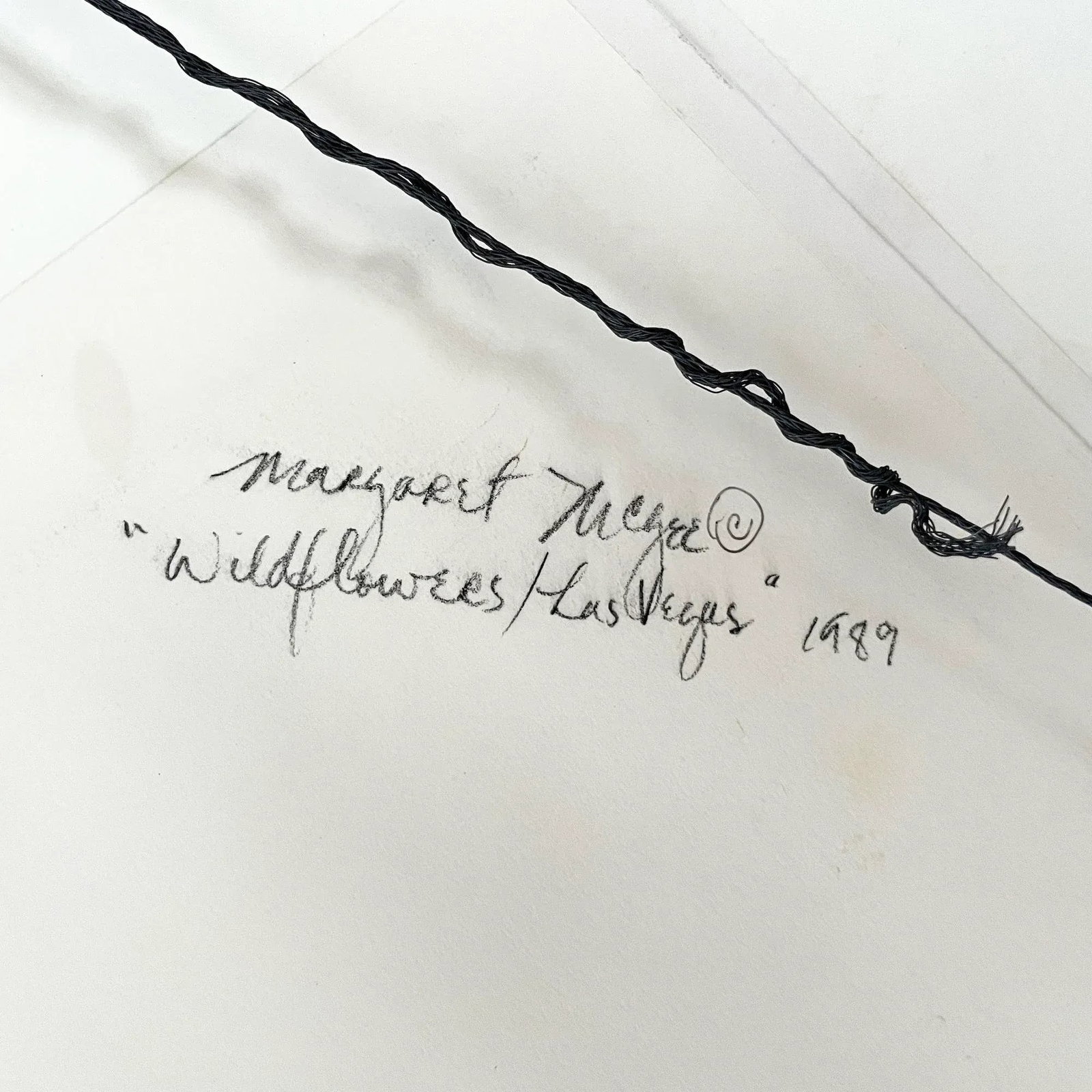 Margaret McGee "Wildflowers/Las Vegas" Oil on Paper 1989 - 6