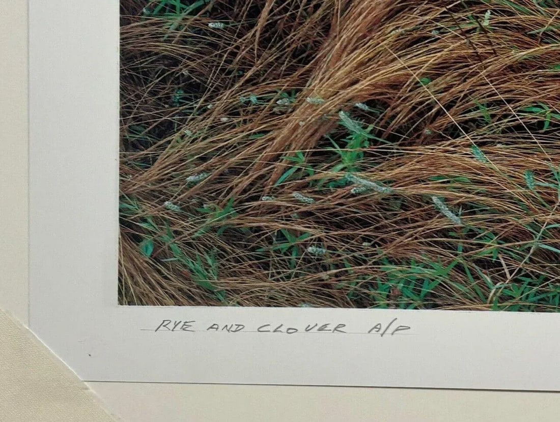 Original John Wawrzonek 'rye & Clover' Grass Cover Signed Artist Proof Photo - 10