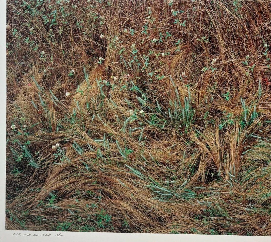 Original John Wawrzonek 'rye & Clover' Grass Cover Signed Artist Proof Photo - 12