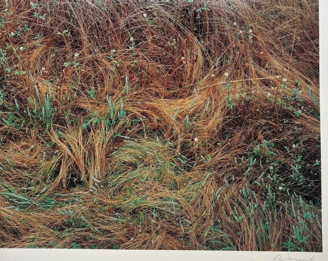 Original John Wawrzonek 'rye & Clover' Grass Cover Signed Artist Proof Photo - 3