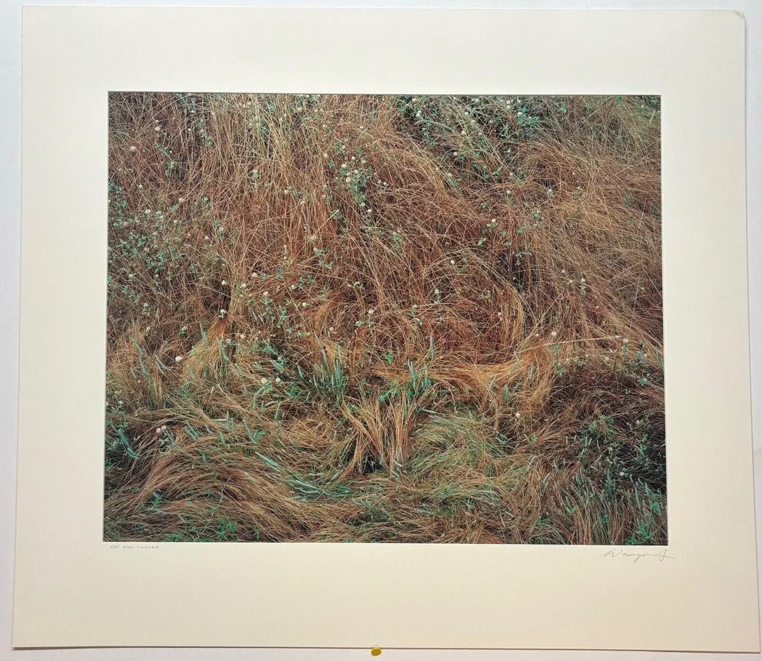 Original John Wawrzonek 'rye & Clover' Grass Cover Signed Artist Proof Photo - 5