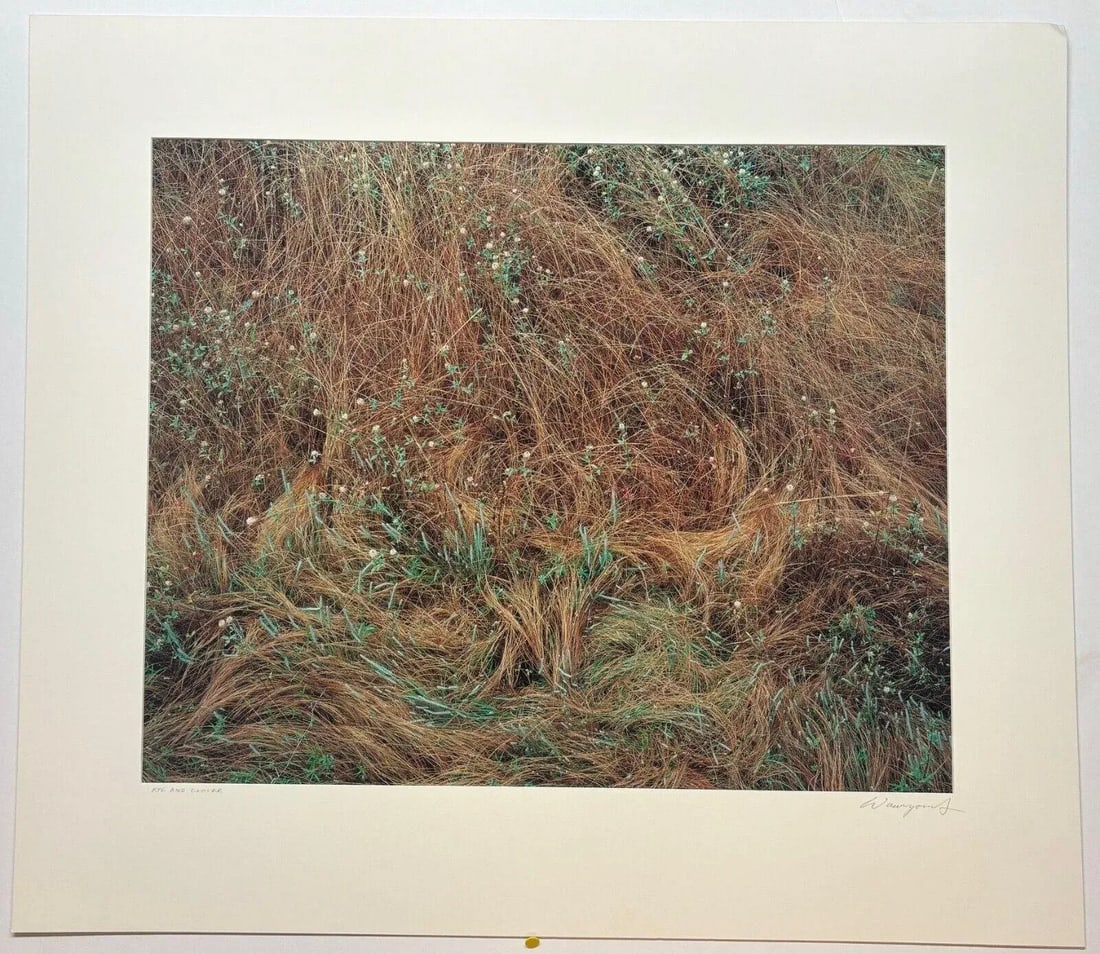Original John Wawrzonek 'rye & Clover' Grass Cover Signed Artist Proof Photo - 6