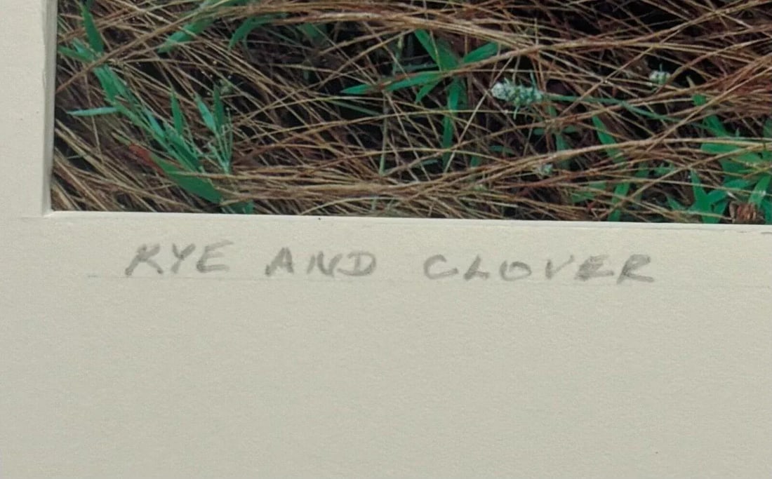 Original John Wawrzonek 'rye & Clover' Grass Cover Signed Artist Proof Photo - 7