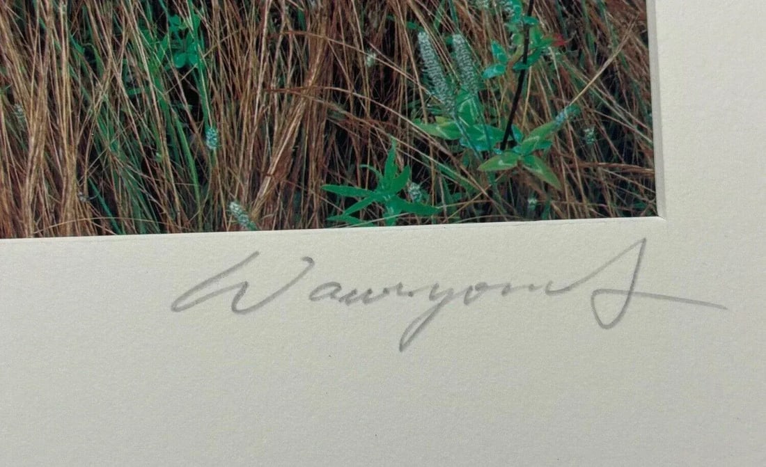 Original John Wawrzonek 'rye & Clover' Grass Cover Signed Artist Proof Photo - 8