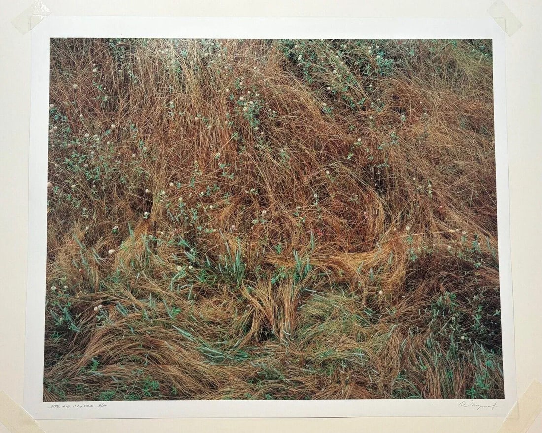 Original John Wawrzonek 'rye & Clover' Grass Cover Signed Artist Proof Photo - 9
