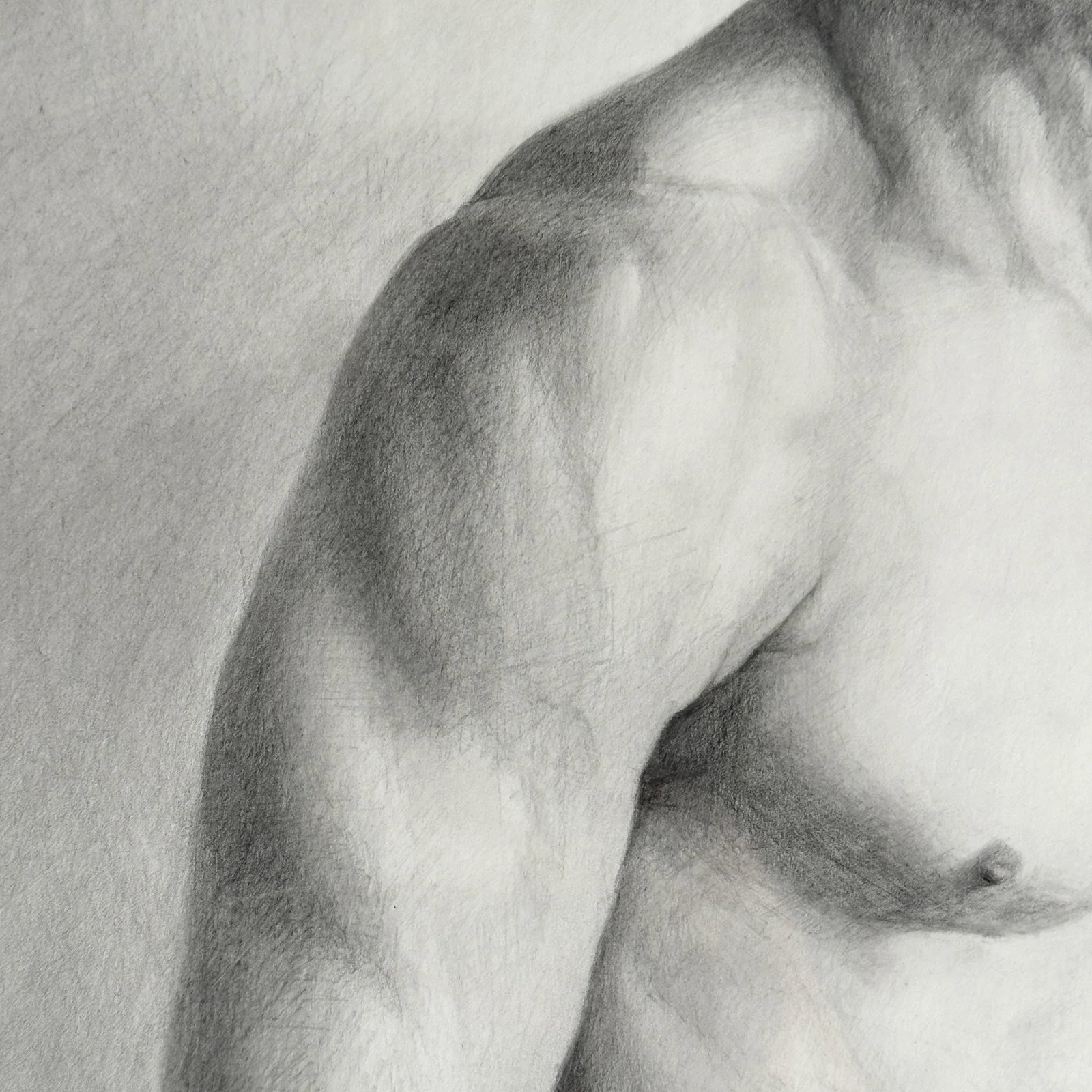Adam, a Graphite Figure Drawing by Sherry Camhy - 6