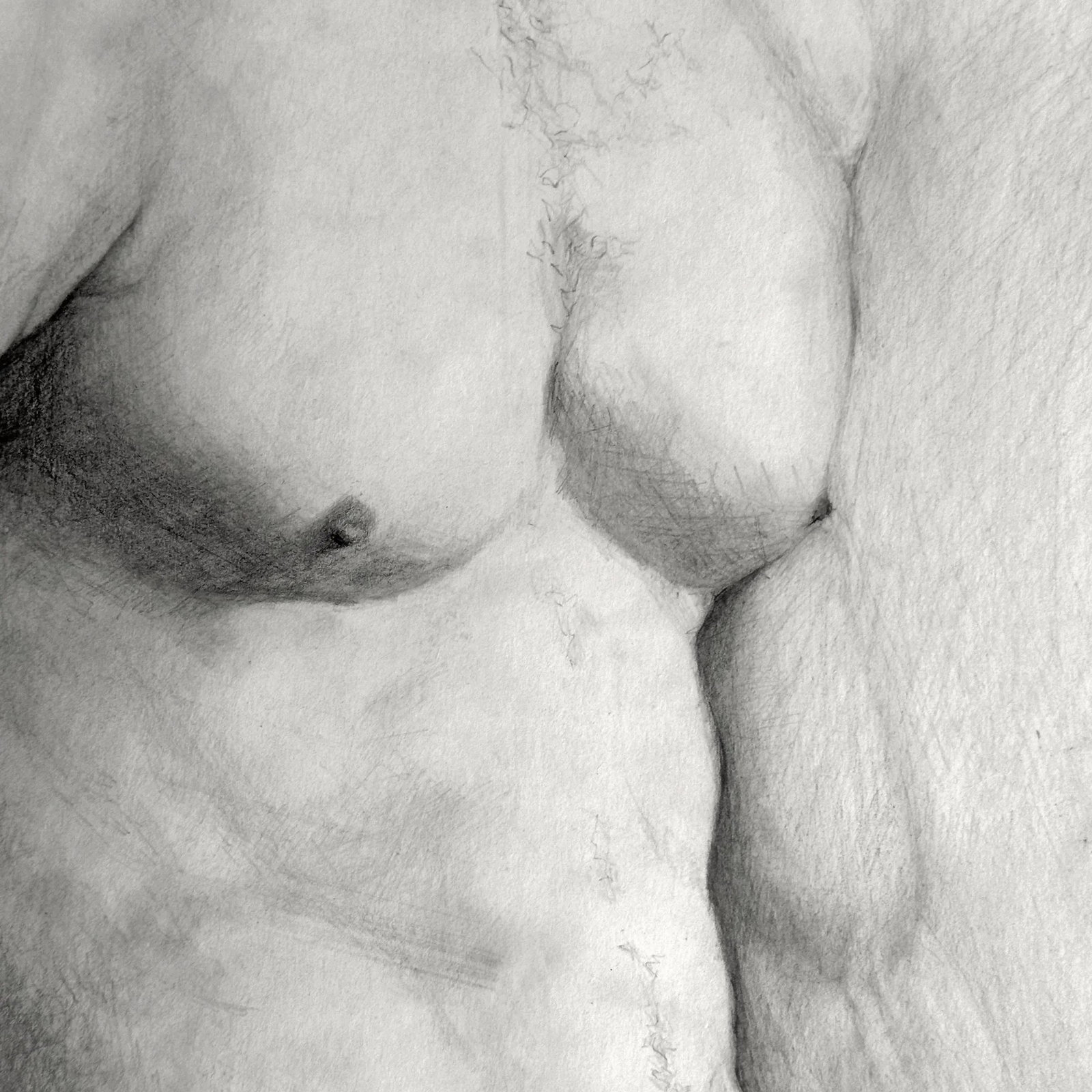 Adam, a Graphite Figure Drawing by Sherry Camhy - 7