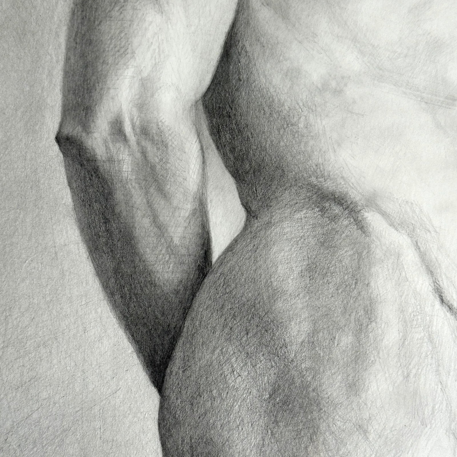 Adam, a Graphite Figure Drawing by Sherry Camhy - 8