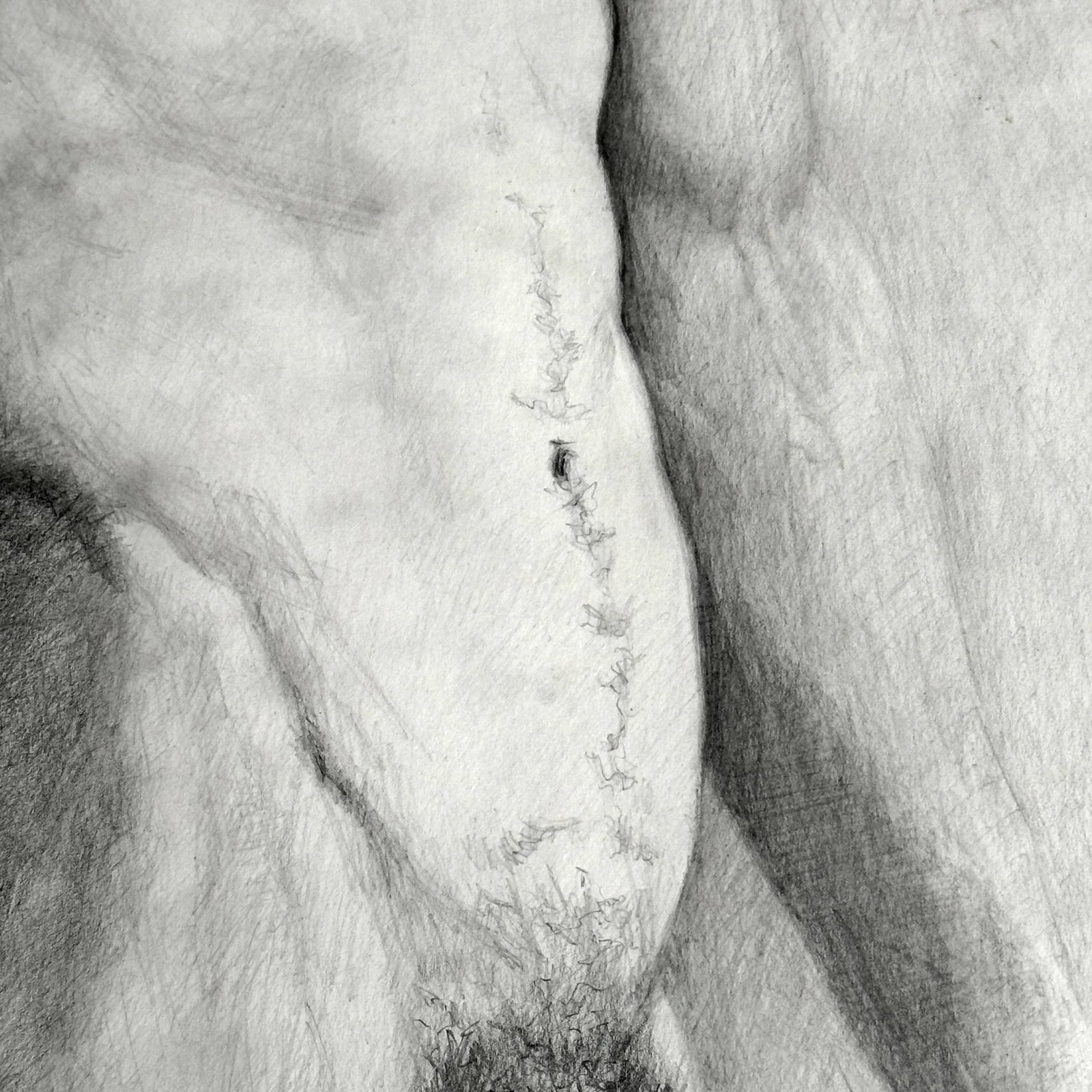 Adam, a Graphite Figure Drawing by Sherry Camhy - 9
