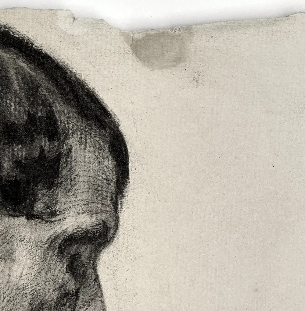 Set of Early 1900's Antique French Academic Drawings of Gentleman in Swim Trunks, Charcoal on Paper - 8