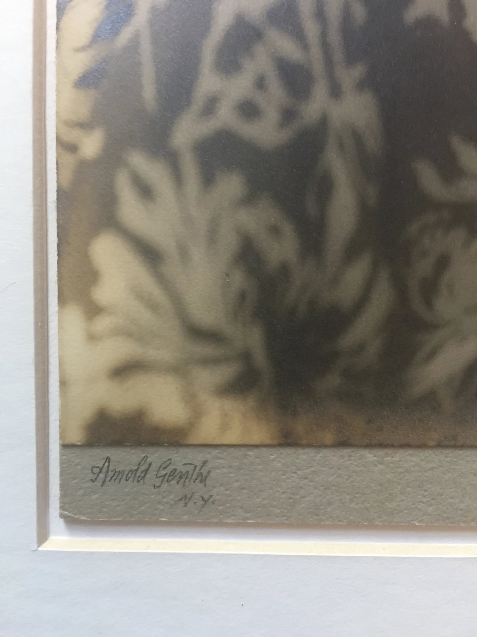 Original Photograph of an Actress by the Photographer Arnold Genthe - 6
